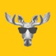 BigBadMoose